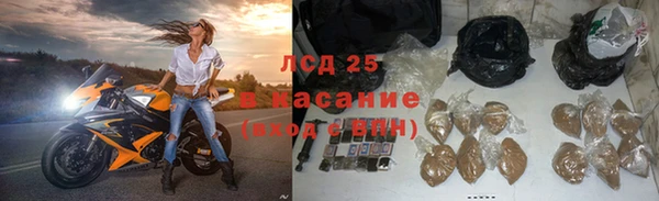 трава Арсеньев