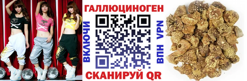 MEGA зеркало  Спасск  Галлюциногенные грибы MAGIC MUSHROOMS  что такое  